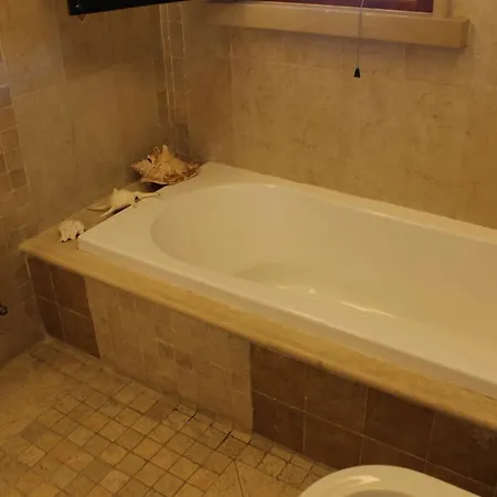 L'albero Dei Limoni 公寓 *