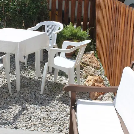 L'albero Dei Limoni *