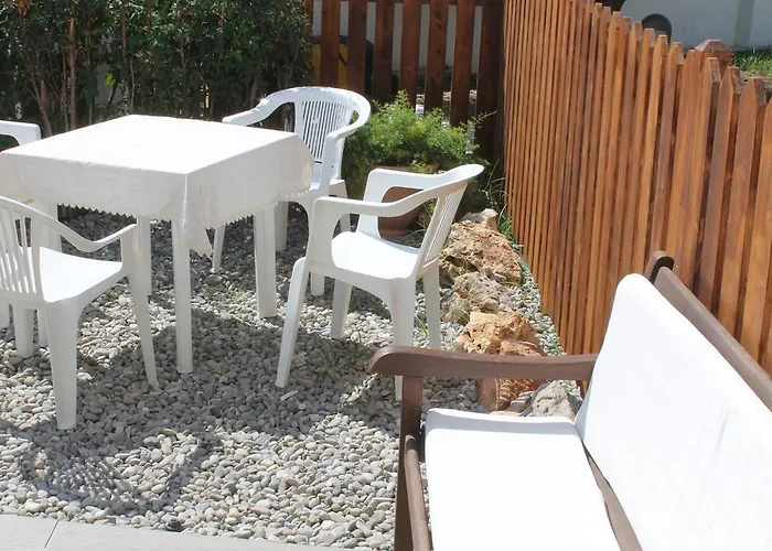 L'albero Dei Limoni *