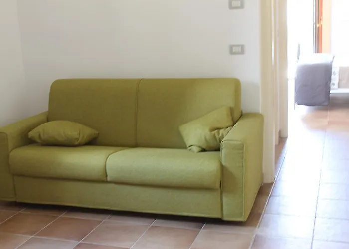 L'albero Dei Limoni *